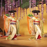 Bilder Ryusei Yokohama
