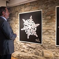 Bilder Michael Gordin Shore