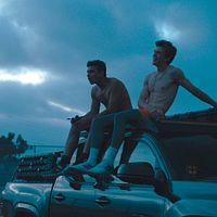 Bilder Colin McCalla