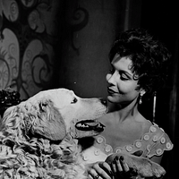 Bilder Sonja Ziemann
