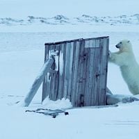 Bilder Snow 