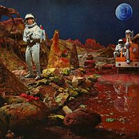 Bilder Robert Horton