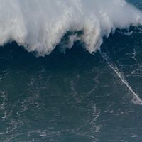 Bilder Sebastian Steudtner