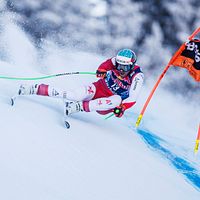 Bilder Vincent Kriechmayr