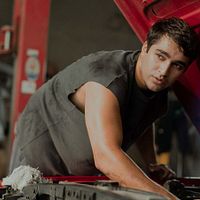 Bilder Mert Ramazan Demir