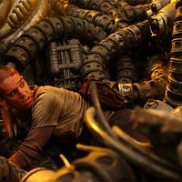 Bilder Clayton Watson