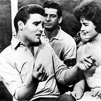 Bilder Joan Blackman