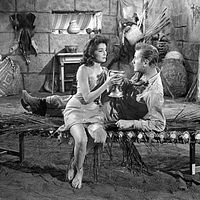 Bilder Gianna Segale