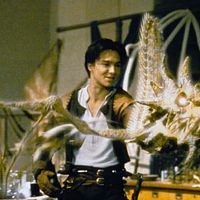 Bilder Courtney Solomon