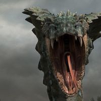 Bilder Shim Hyung-rae