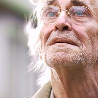 Bilder Martin Landau