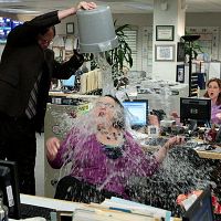 Bilder Jenna Fischer