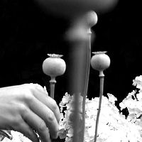 Bilder Pierre Creton