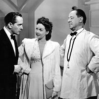 Bilder Robert Warwick