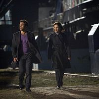 Bilder Desiree Nosbusch