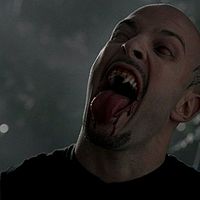 Bilder Graham Shiels