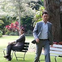 Bilder Lauren Stamile