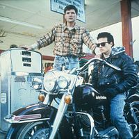 Bilder James Marshall