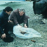 Bilder Michael Ontkean