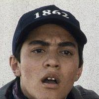 Bilder Safdar Samandar