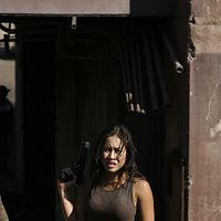 Bilder Theresa June Tao