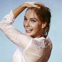 Bilder Maria Perschy