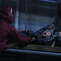 Bilder Pilar López de Ayala