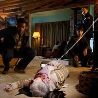 Bilder Robert Blanche