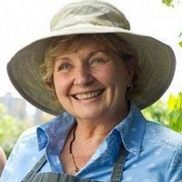 Bilder France Castel