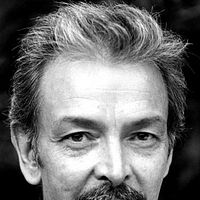 Bilder Damien Thomas