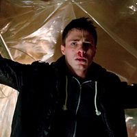 Bilder Colton Haynes