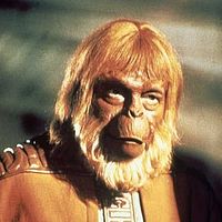 Bilder Maurice Evans