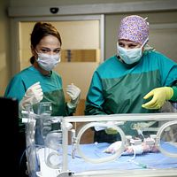 Bilder Vahide Perçin