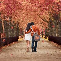 Bilder Shah Rukh Khan