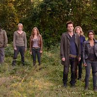 Bilder Graham Rogers