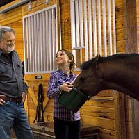 Bilder Kris Kristofferson