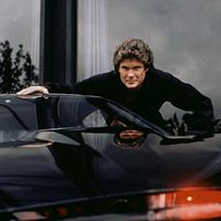 Bilder David Hasselhoff