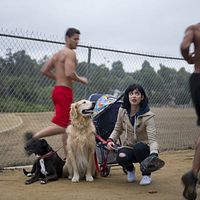 Bilder Krysten Ritter