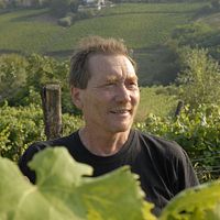 Bilder Stefano Bellotti