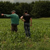 Bilder Philipp Kienle