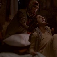 Bilder Nil Günal Çakıroğlu