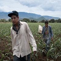 Bilder Donaciano Bautista Matías