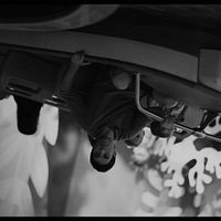 Bilder Roy Abramsohn