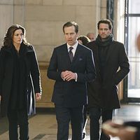 Bilder Stephen Barker Turner