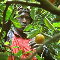 Bilder Koudous Seihon