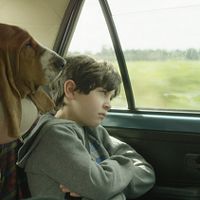 Bilder Camille Loubens