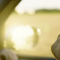 Bilder Robert Finster