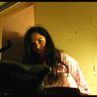 Bilder Stephanie Hullar