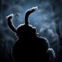 Bilder Matti Kiviniemi