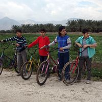 Bilder Abdel Kareem Barakeh